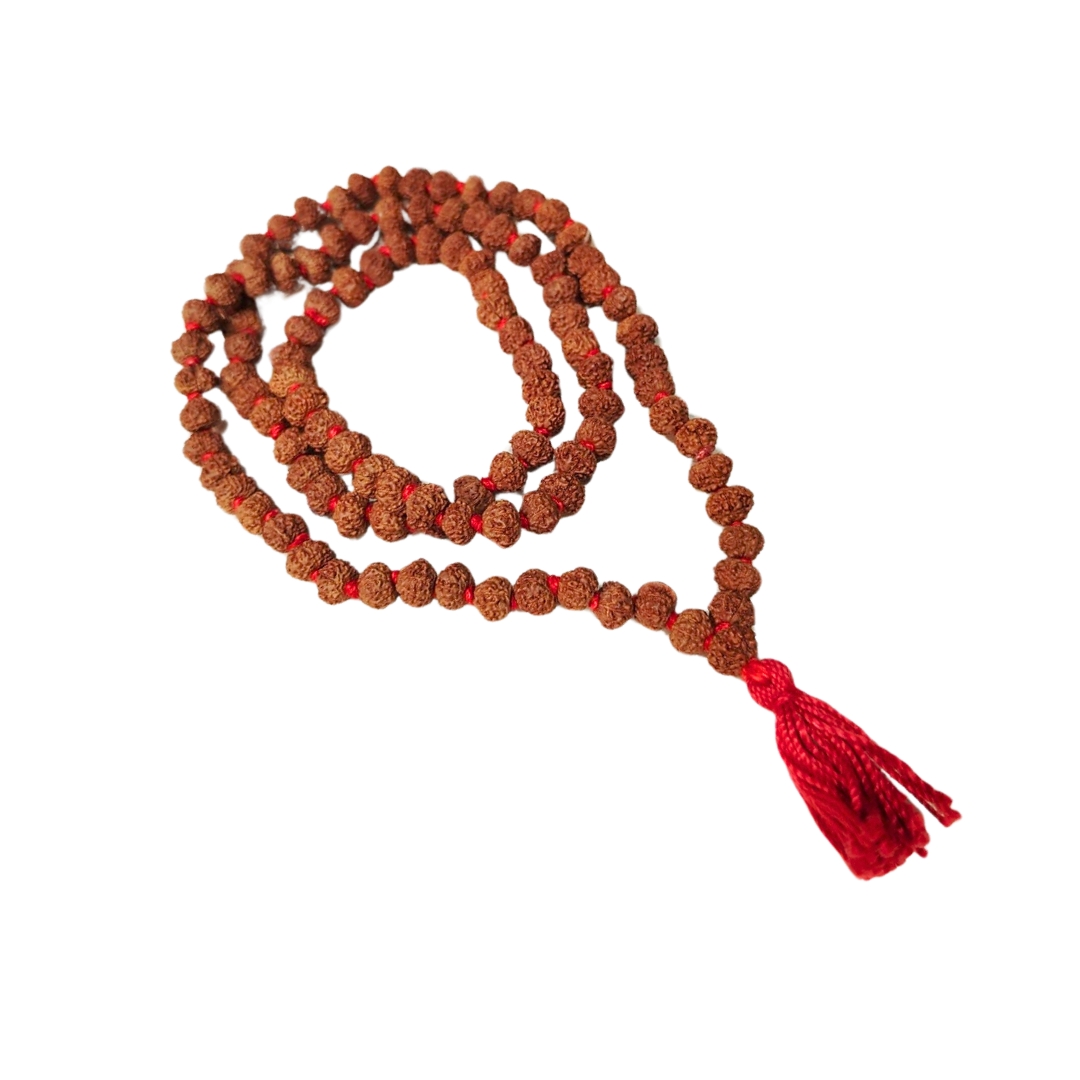 8 mukhi rudraksha mala